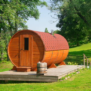 sauna wood stove